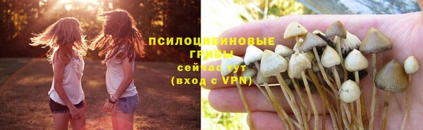 твердый Бронницы