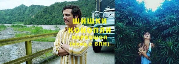 твердый Бронницы